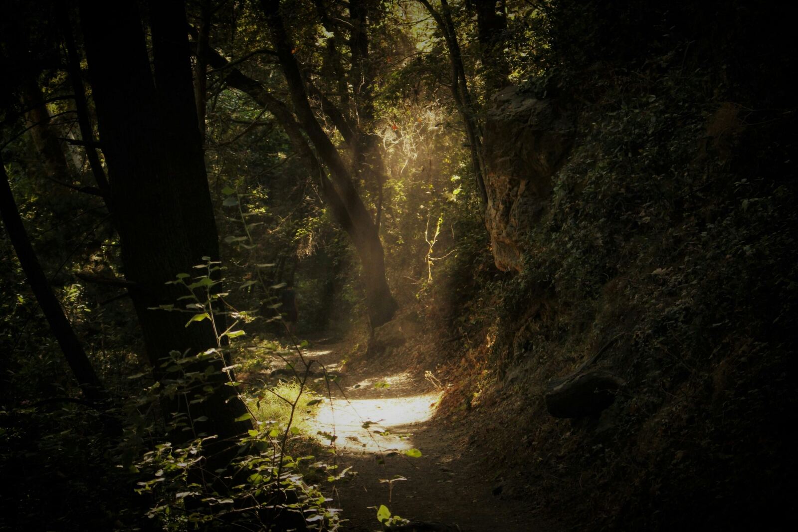 Deepika Singh in the forest